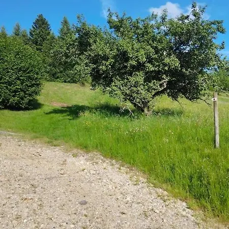 Du Pre Chappa, Parc Naturel Des Hautes Vosges * Saint-Maurice-sur-Moselle