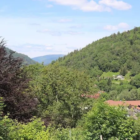 Du Pre Chappa, Parc Naturel Des Hautes Vosges Vakantiehuis *